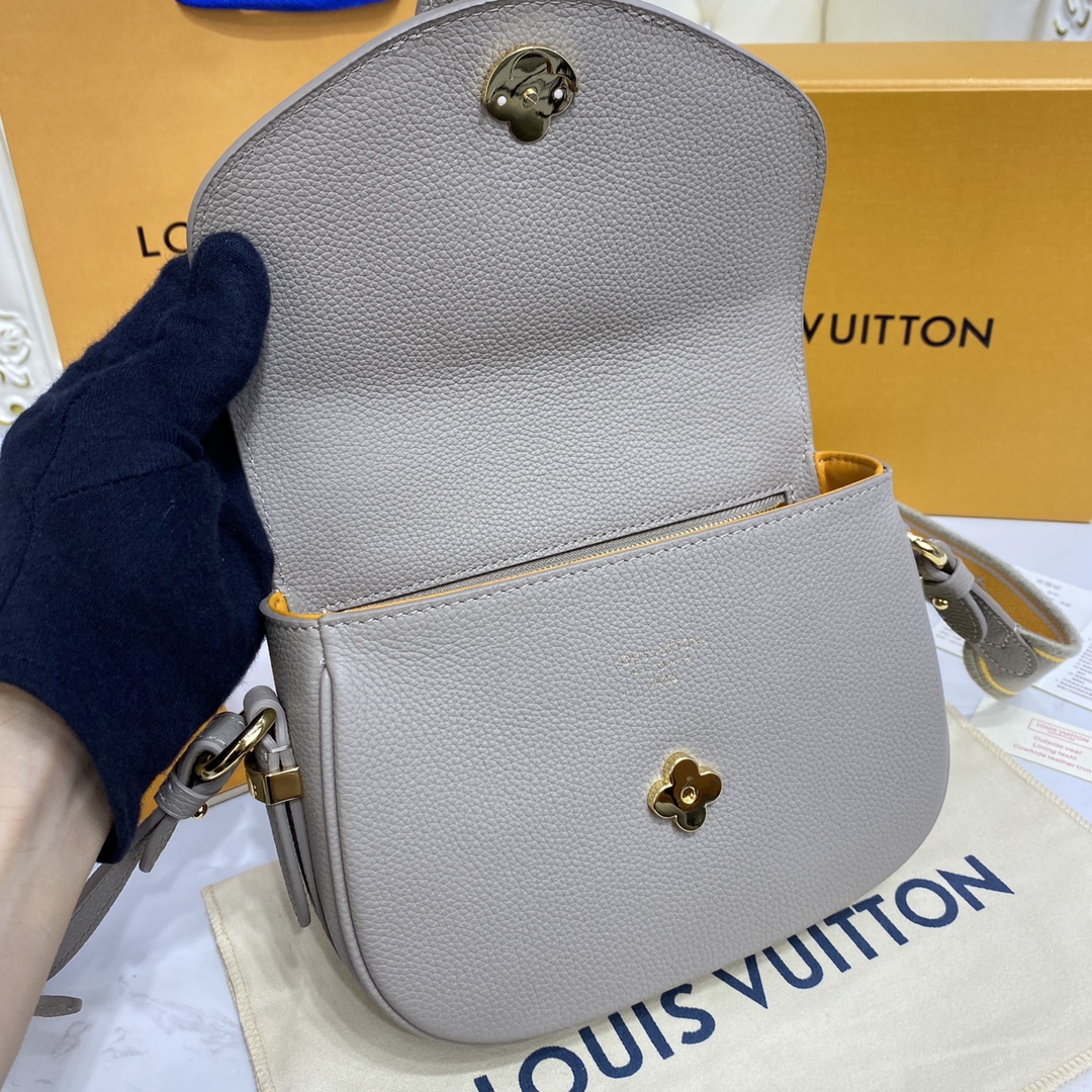 Louis Vuitton LV PONT 9 SOFT PM Grained Leather Shoudler Bag M58728 Grey